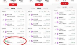 新野拉卡拉最新爆料,揭秘金融科技巨头的新动向